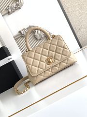 Chanel Mini Flap Bag with Top Handle Grained Calfskin Gold Tone Metal Beige - 19x13x9cm - 3