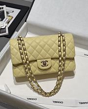 Chanel Classic Light Yellow Caviar Light Gold Hardware Bag - 15.5×25.5×6.5cm - 6