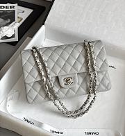 Chanel Classic Gray Caviar Silver Hardware Bag - 15.5×25.5×6.5cm - 6