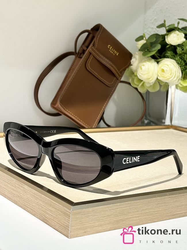 Celine Monochroms 07 Sunglasses in Acetate Black - 1