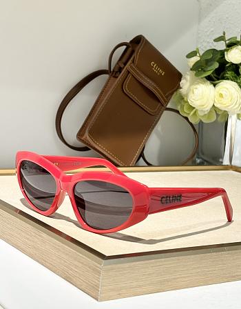 Celine Monochroms 07 Sunglasses in Acetate Red
