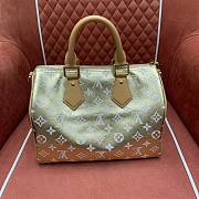 LV Speedy P9 Bandouliere 30 Gold - 30x21x17cm - 6