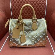 LV Speedy P9 Bandouliere 30 Gold - 30x21x17cm - 2