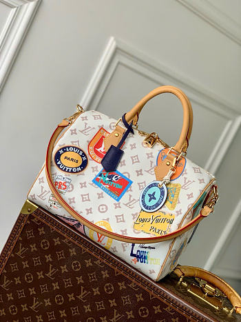 LV Speedy Soft 30 Monogram Dune Canvas M14587 - 30x21x17cm