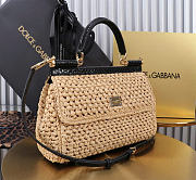 Dolce&Gabbna Elongated Raffia Sicily Handbag - 25x17x9cm - 5