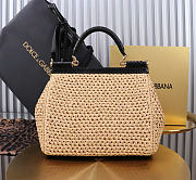 Dolce&Gabbana Large Raffia Sicily Handbag - 25x20x12cm - 5