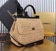 Dolce&Gabbana Large Raffia Sicily Handbag - 25x20x12cm - 6