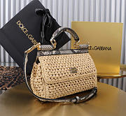 Dolce&Gabbana Small Raffia Sicily Handbag - 18x11x6cm - 6