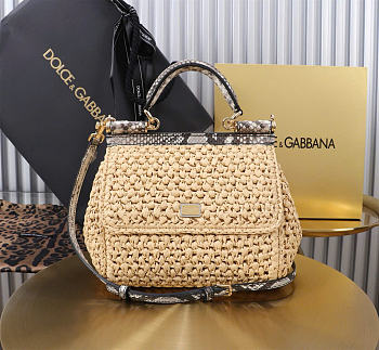 Dolce&Gabbana Medium Raffia Sicily Handbag - 20x16x8cm