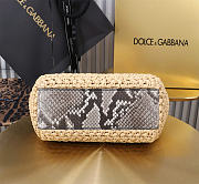 Dolce&Gabbana Medium Raffia Sicily Handbag - 20x16x8cm - 6