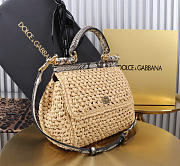 Dolce&Gabbana Medium Raffia Sicily Handbag - 20x16x8cm - 5