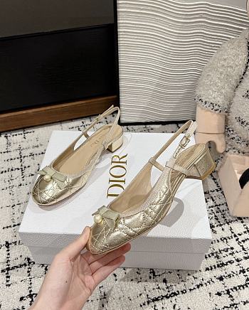 Dior Ballet Slingback Pumps Gold