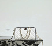 Chanel Clutch with Chain Lambskin Gold Tone Metal White Black - 18.5x11.5x11cm - 1