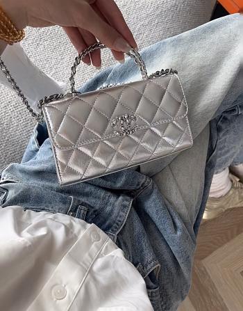Chanel Clutch With Chain With Handle Calfskin Silver - 18x10x4.5cm