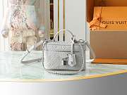 LV Vanity Chain Pouch Monogram Empreinte Leather Brume Gray M13593 - 11.5x6.5x19cm - 6