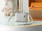 LV Vanity Chain Pouch Monogram Empreinte Leather Brume Gray M13593 - 11.5x6.5x19cm - 4