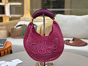 Chloe Summer Banana Hobo Bag in Raffia Pink - 36x21.5x2cm - 4