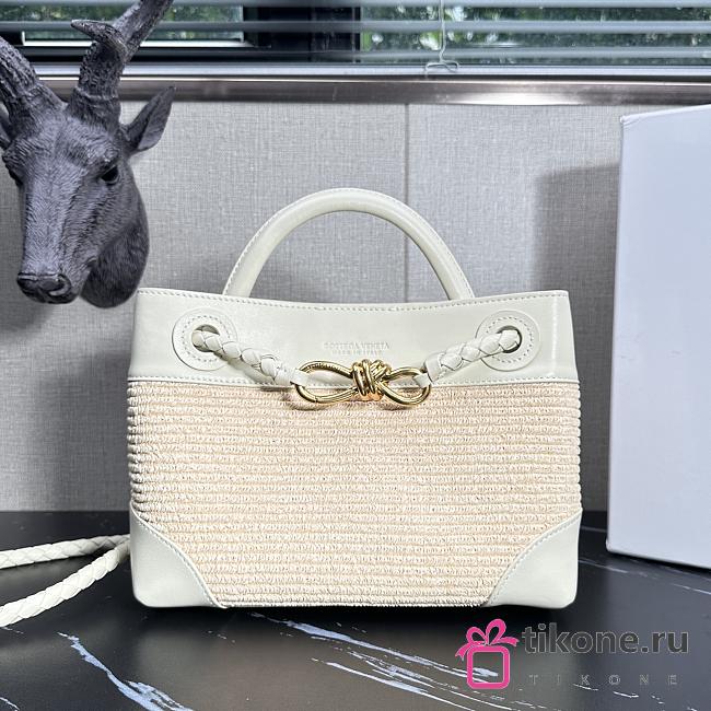Bottega Veneta Small Andiamo Raffia Sea Salt/Natural - 25x20x10cm - 1