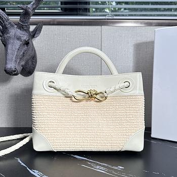 Bottega Veneta Small Andiamo Raffia Sea Salt/Natural - 25x20x10cm