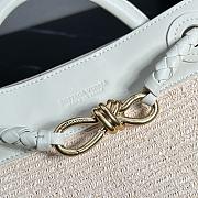 Bottega Veneta Small Andiamo Raffia Sea Salt/Natural - 25x20x10cm - 3