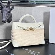 Bottega Veneta Small Andiamo Raffia Sea Salt/Natural - 25x20x10cm - 4