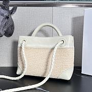 Bottega Veneta Small Andiamo Raffia Sea Salt/Natural - 25x20x10cm - 5