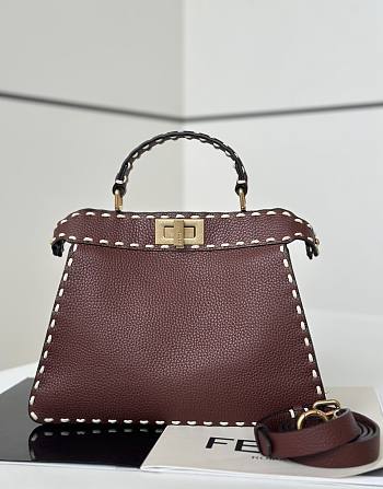 Fendi Peekaboo ISeeU Small Multicolour Sage Selleria Bag Brown - 27x21x11cm