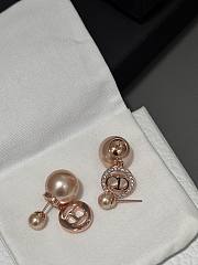 Dior Earrings Rose Gold - 2