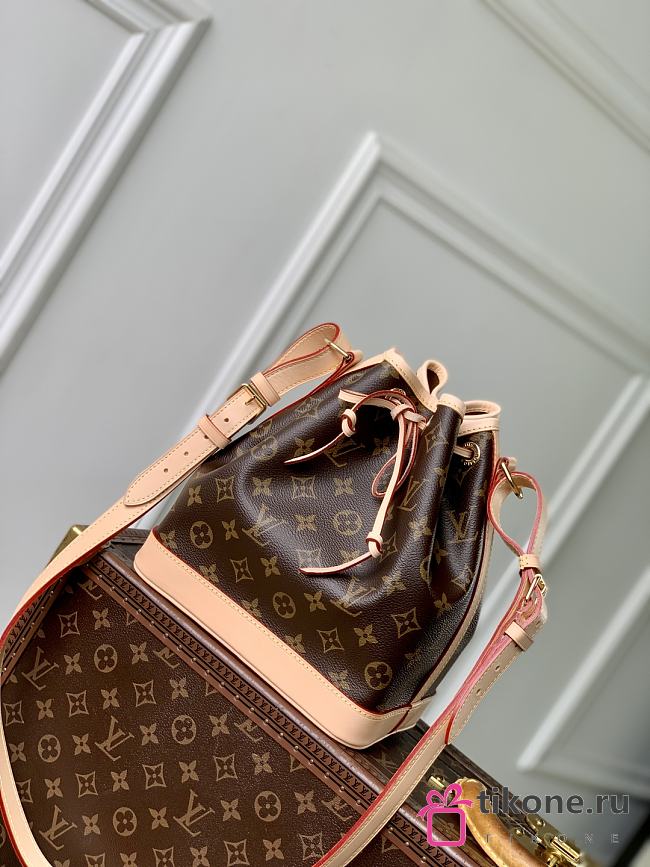 LV Noe BB Monogram M46983 - 24x15x22cm - 1