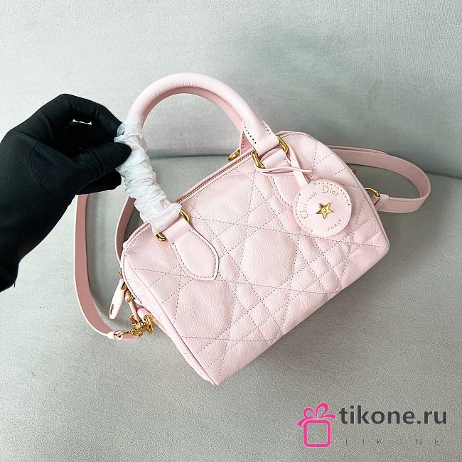 Dior Groove 20 Bag Pale Pink Macrocannage Calfskin - 20.5x13.5x12cm - 1