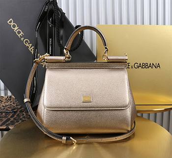Dolce & Gabbana Metallic Leather Medium Sicily Handbag - 20x18.5x10cm