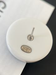 Chanel Earrings 19300 - 5