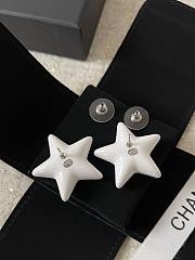 Chanel Earrings 19313 - 4