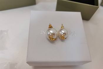 Gift YSL Earrings