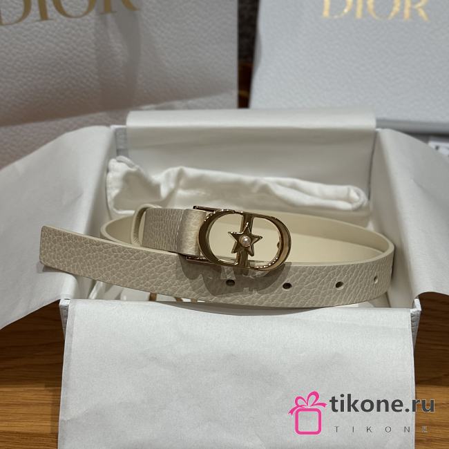 Dior Lucky 30 Montaigne Star Belt Grained Calfskin in White Gold 20mm - 1