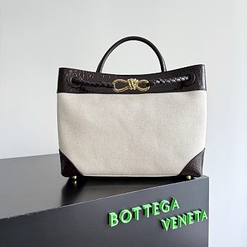 Bottega Veneta Andiamo in Natural/ Fondant - 32x25x11cm