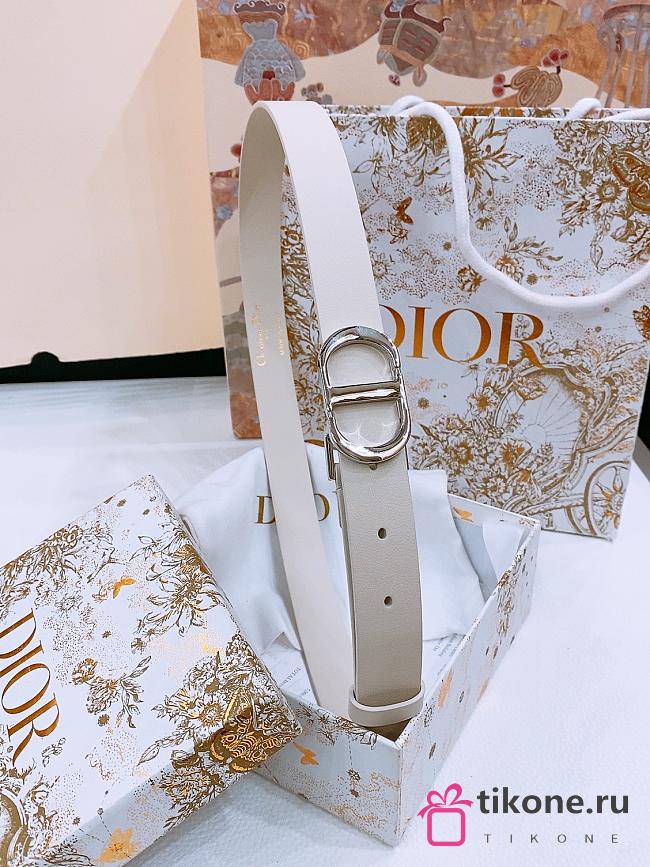 Dior 30 Montaigne Belt Silver Tone and White Smooth Calfskin 2.5cm - 1