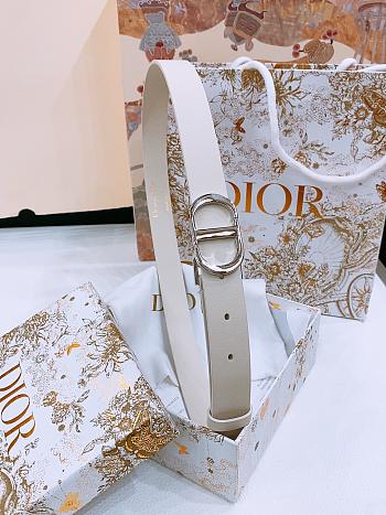 Dior 30 Montaigne Belt Silver Tone and White Smooth Calfskin 2.5cm