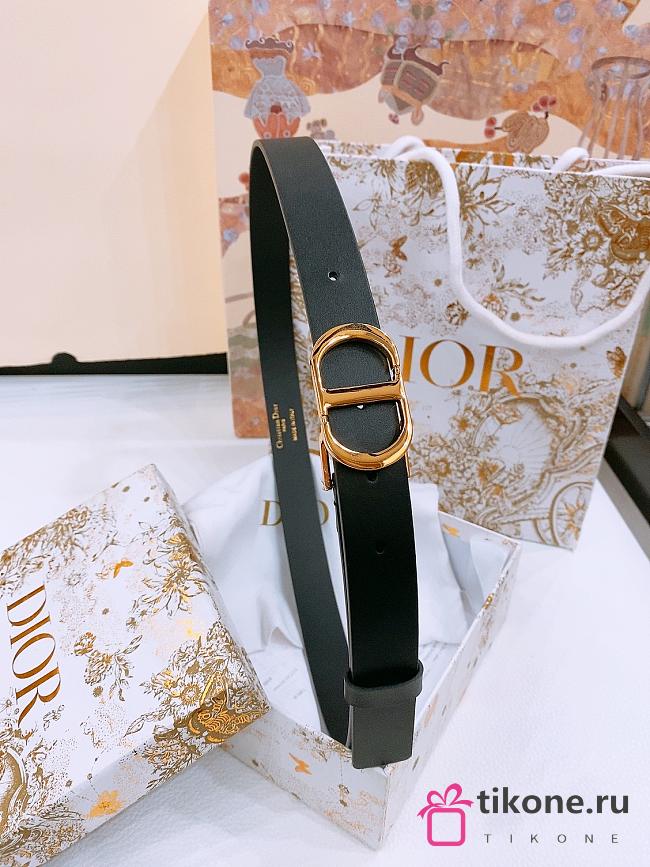 Dior 30 Montaigne Belt Gold Tone and Black Smooth Calfskin 2.5cm - 1