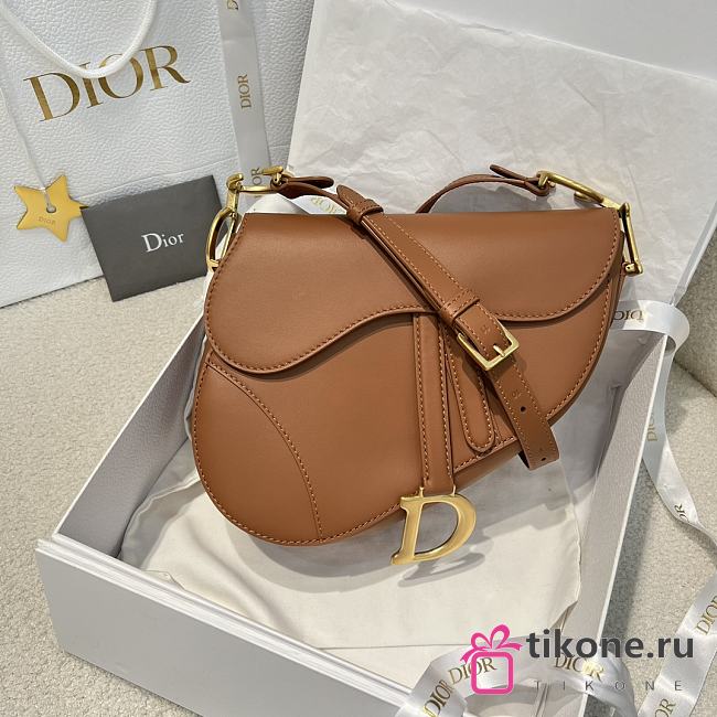 Dior Medium Soft Saddle Bag with Strap Light Gold Tone Vintage Smooth Calfskin - 24x20x7cm - 1