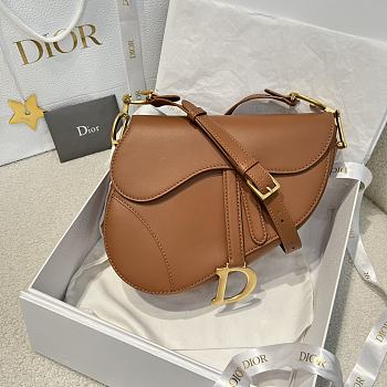 Dior Medium Soft Saddle Bag with Strap Light Gold Tone Vintage Smooth Calfskin - 24x20x7cm