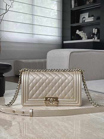 Chanel Leboy25 Caviar Grained Calfskin Champagne Gold Light Gold - 15x25x9cm