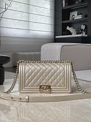 Chanel Leboy25 Caviar Grained Calfskin Champagne Gold Light Gold - 15x25x9cm - 2