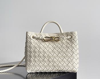 Bottega Veneta Small Andiamo Intrecciato Sea Salt - 25x20x10cm