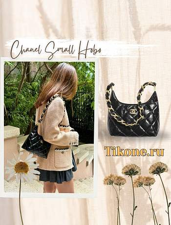 Chanel Small Hobo Bag Shiny Lambskin & Gold Tone Metal Black - 22.5x19.5x8.5cm