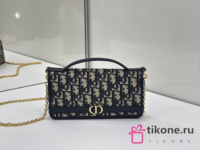 Dior 30 Montaigne Cigale Pouch with Chain Blue Dior Oblique Jacquard - 20.5x11x5cm  - 1