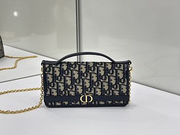 Dior 30 Montaigne Cigale Pouch with Chain Blue Dior Oblique Jacquard - 20.5x11x5cm 