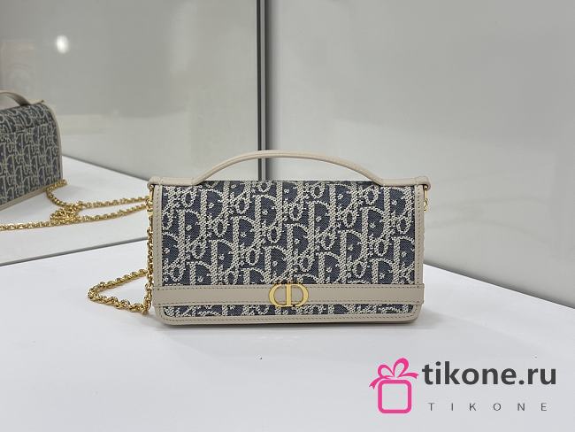 30 Montaigne Cigale Pouch with Chain Blue Dior Oblique Chambray with Raffia Effect and Light Biscuit Smooth Calfskin - 20.5x11x5cm - 1