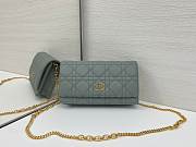 Dior Caro Pouch with Chain Green Gray Supple Cannage Calfskin - 20x11.5x3.5cm - 2