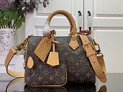 LV Millionaires Speedy 25 P9 Monogram Brown - 25x15x15cm - 5